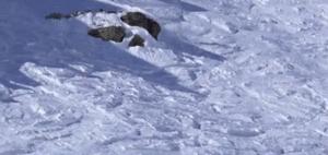 西安白鹿原滑雪场门票价格,西安高新区哪里有室内滑雪场