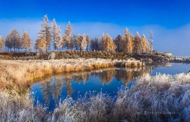 雾凇之美宛若仙境,连云港花果山雾凇美得像仙境