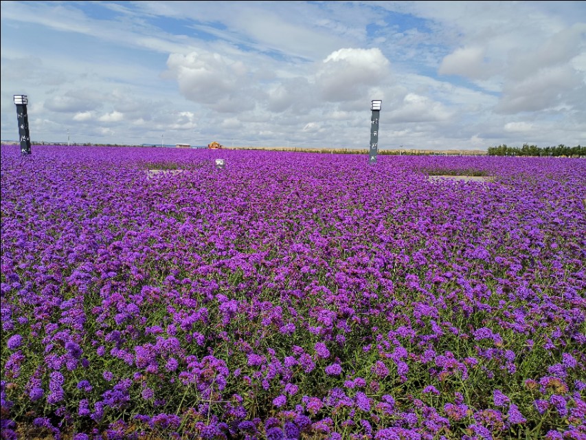 有一种牵挂叫思念,有一种牵挂叫故乡歌曲