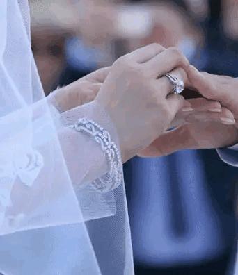 章子怡韩雪范冰冰,章子怡范冰冰珠宝