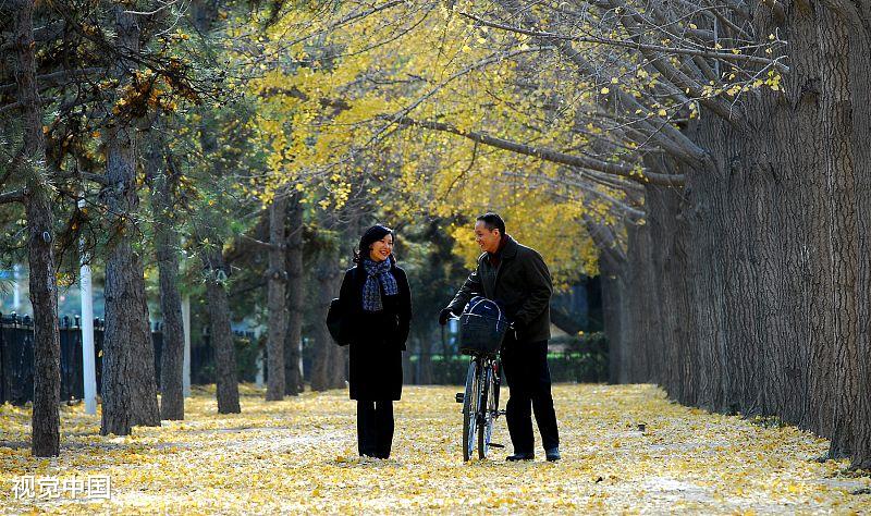 追剧爱情感悟,追剧的真实感言