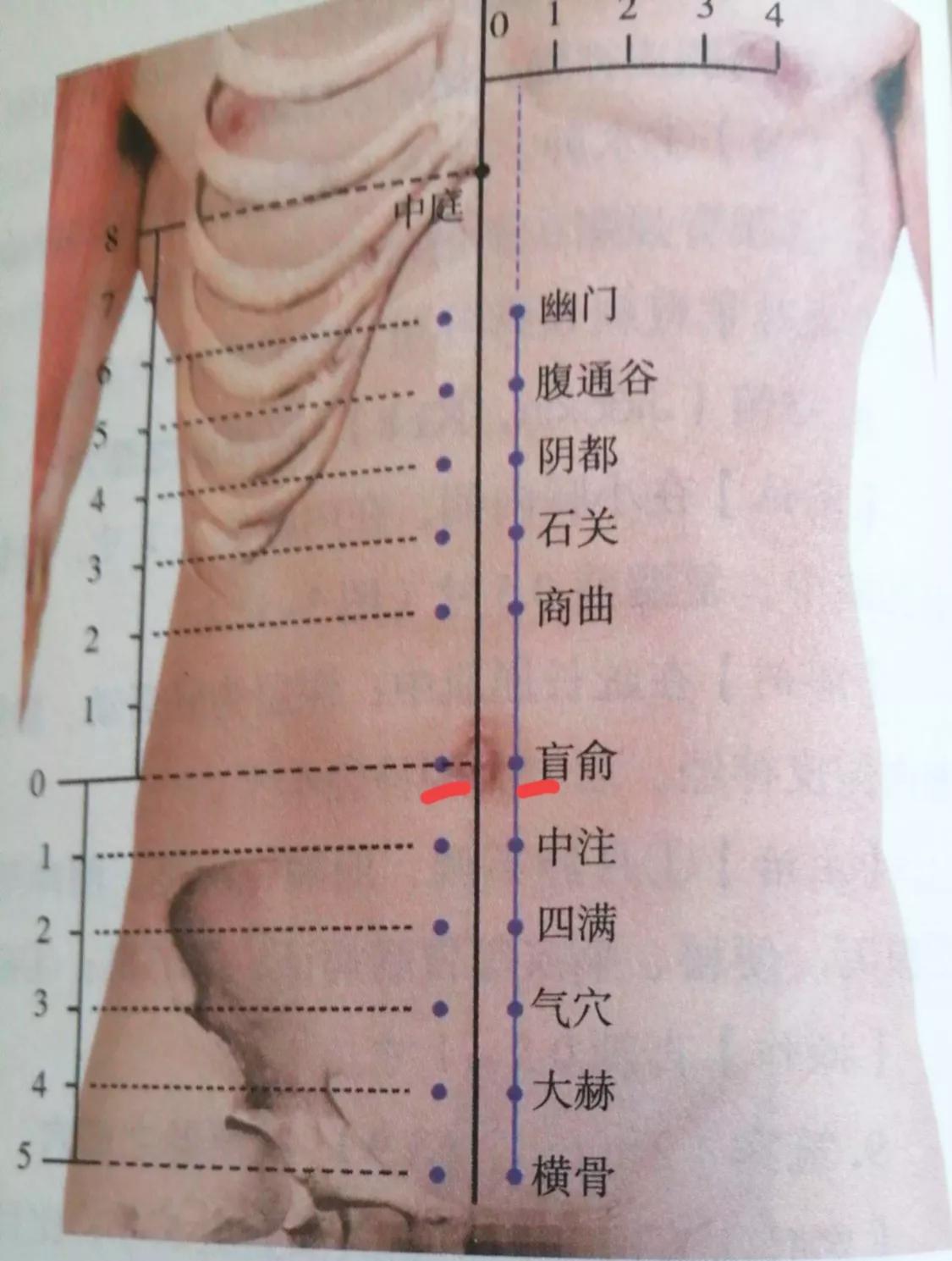 每日一穴肓俞穴,每日一穴关元俞