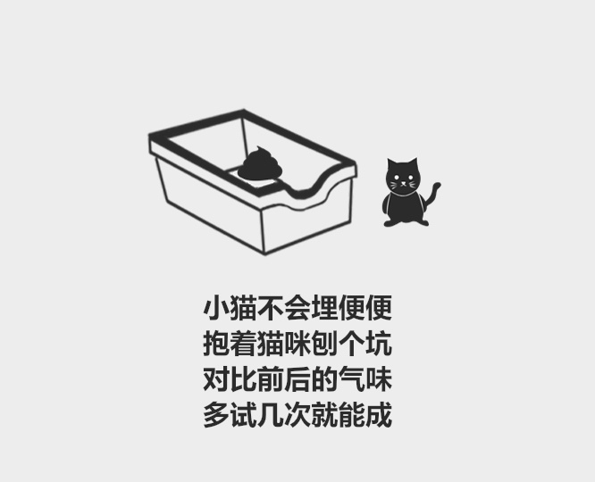 奶猫要多久可以用猫砂,小奶猫用哪种猫砂比较好