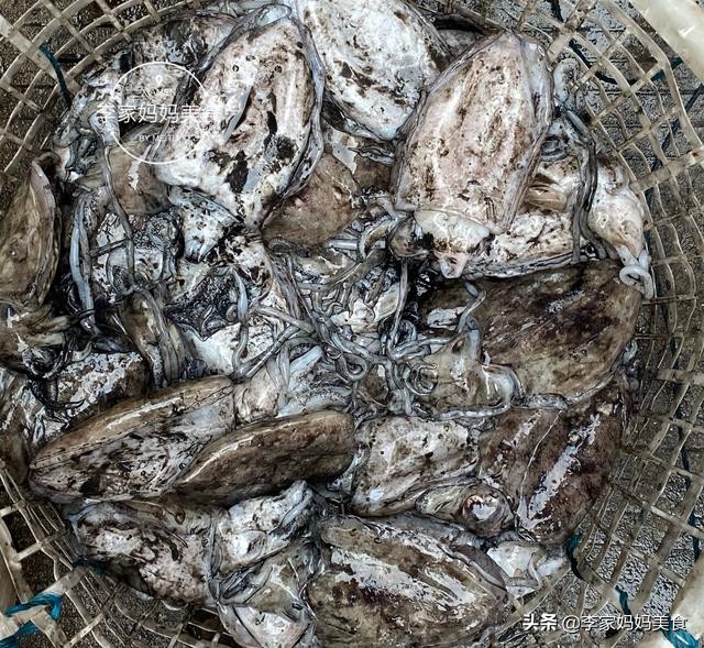 泉州休渔期什么时候结束,泉州休渔期2022时间表