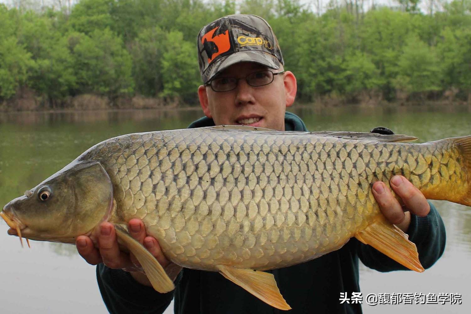 冬季最容易钓到的四种淡水鱼,天气冷只能钓哪几种淡水鱼