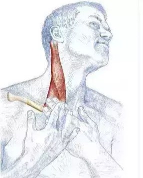 双下巴上有一坨肉向外凸,下巴多了一坨肉往前翘是太胖了吗