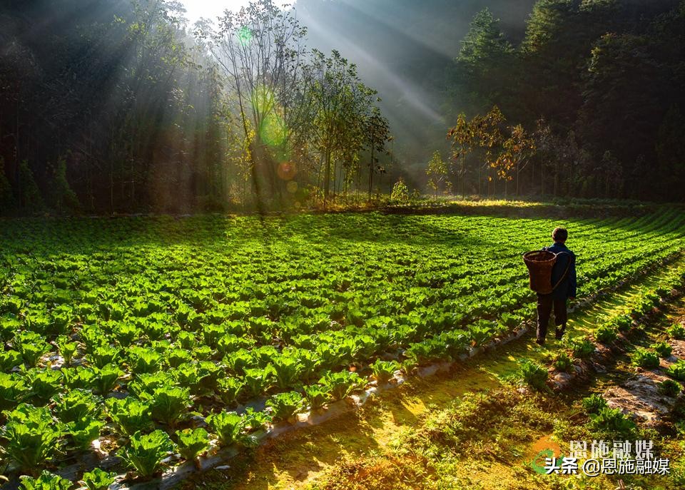 李伦英:用镜头记录家乡的美丽