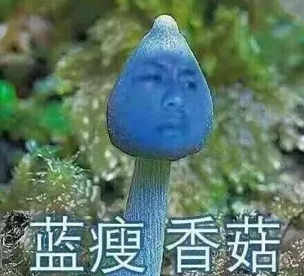 十大网络流行语抛开事实不谈,时代流行语老了