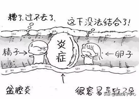 福馨月子中心提醒：产后为什么会得盆腔炎，如何预防和治疗？