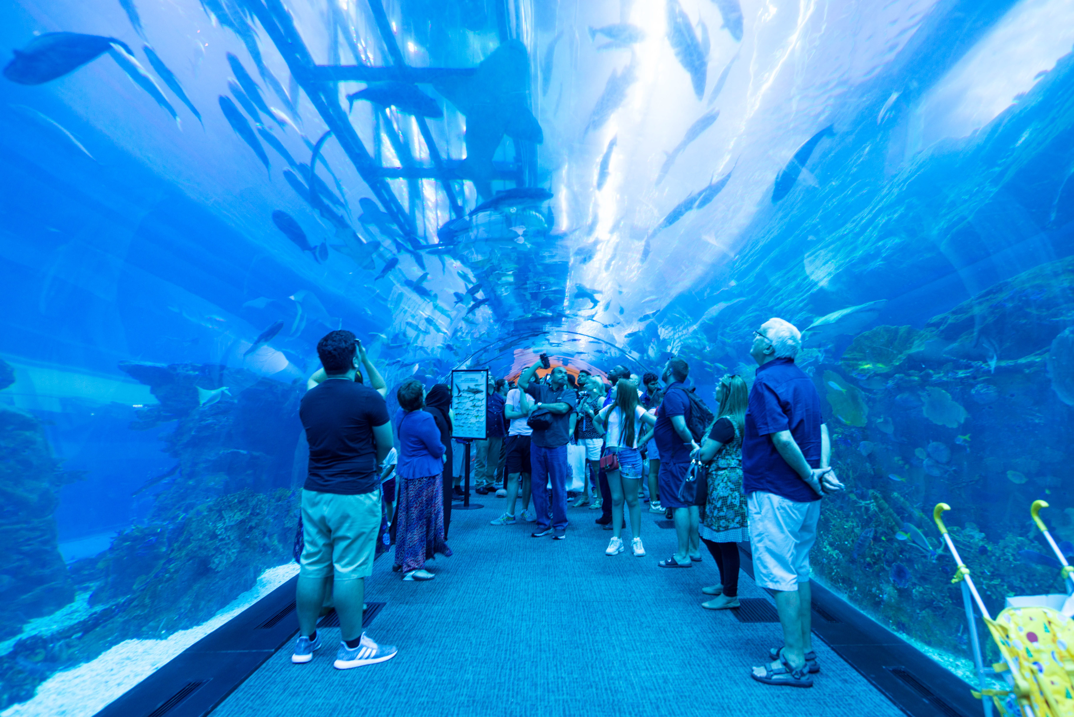 中东的奢华建筑,中东最豪建筑