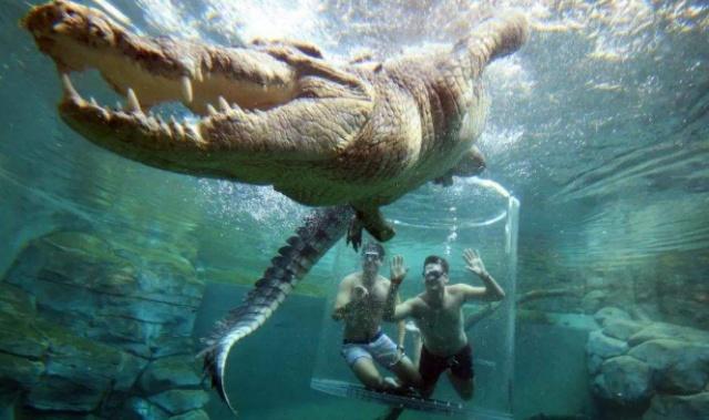 澳洲月薪10000澳币的工作,澳洲绿化工人工资