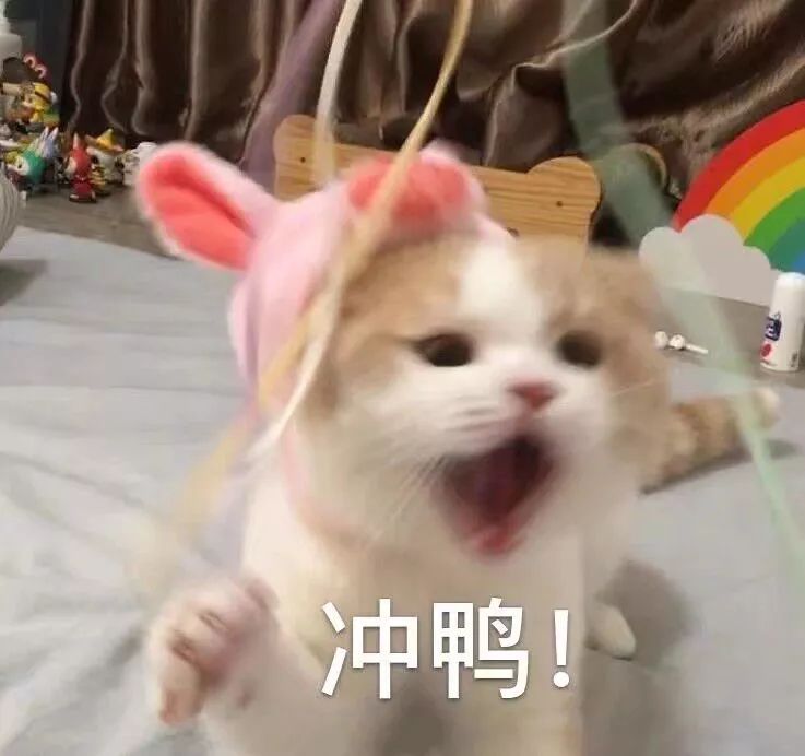 京东tcl电视半价返e卡,tcl电视优惠品