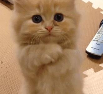 鍘荤埅鎵嬫湳瀵圭尗鏈夊澶х殑浼ゅ,妫夌澶ф硶鍚庡彲浠ョ粷鑲插悧