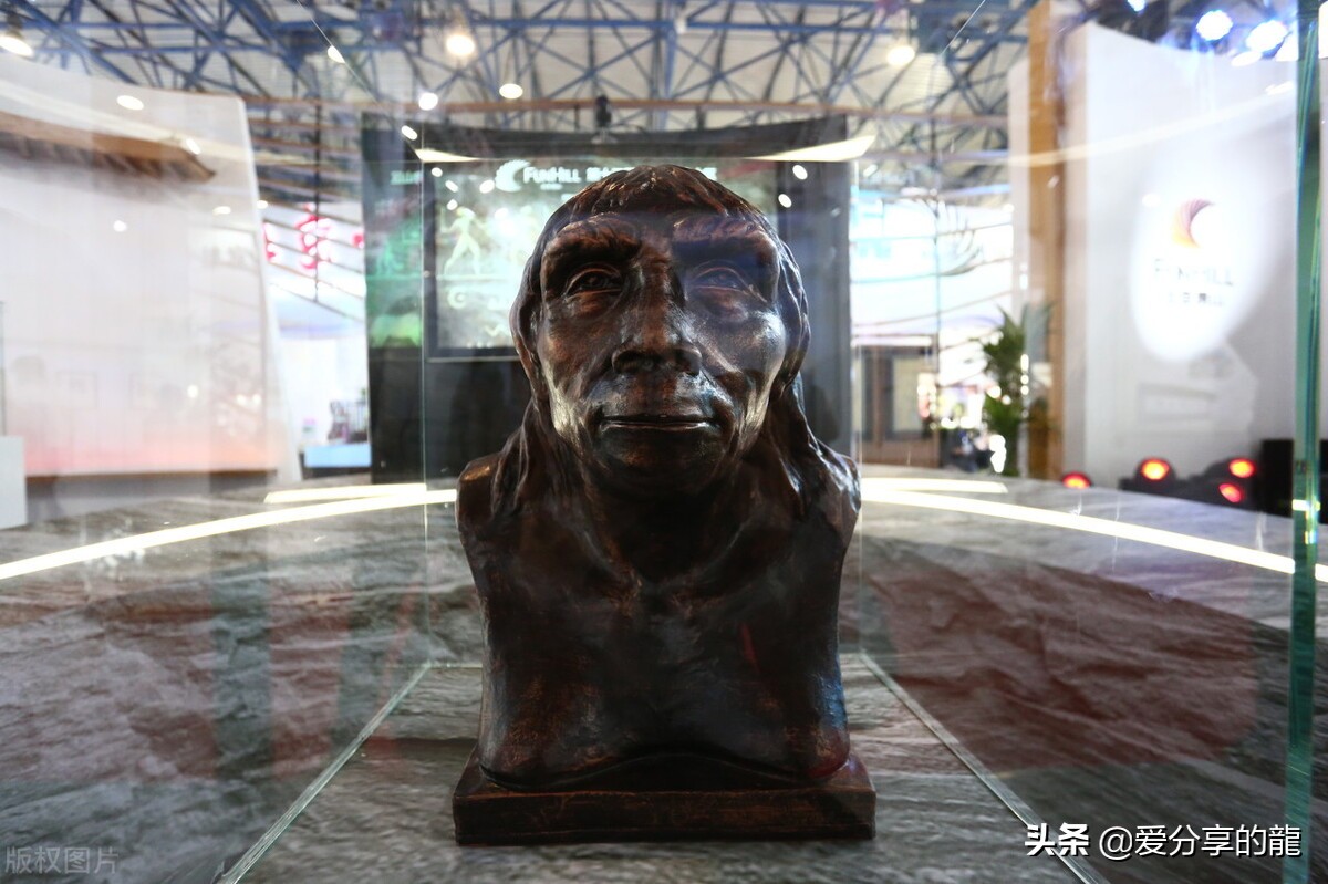 商朝到周朝历史讲解,历史商朝文明