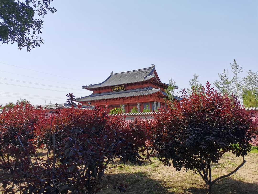 何必太执着图片,何必太执着原唱