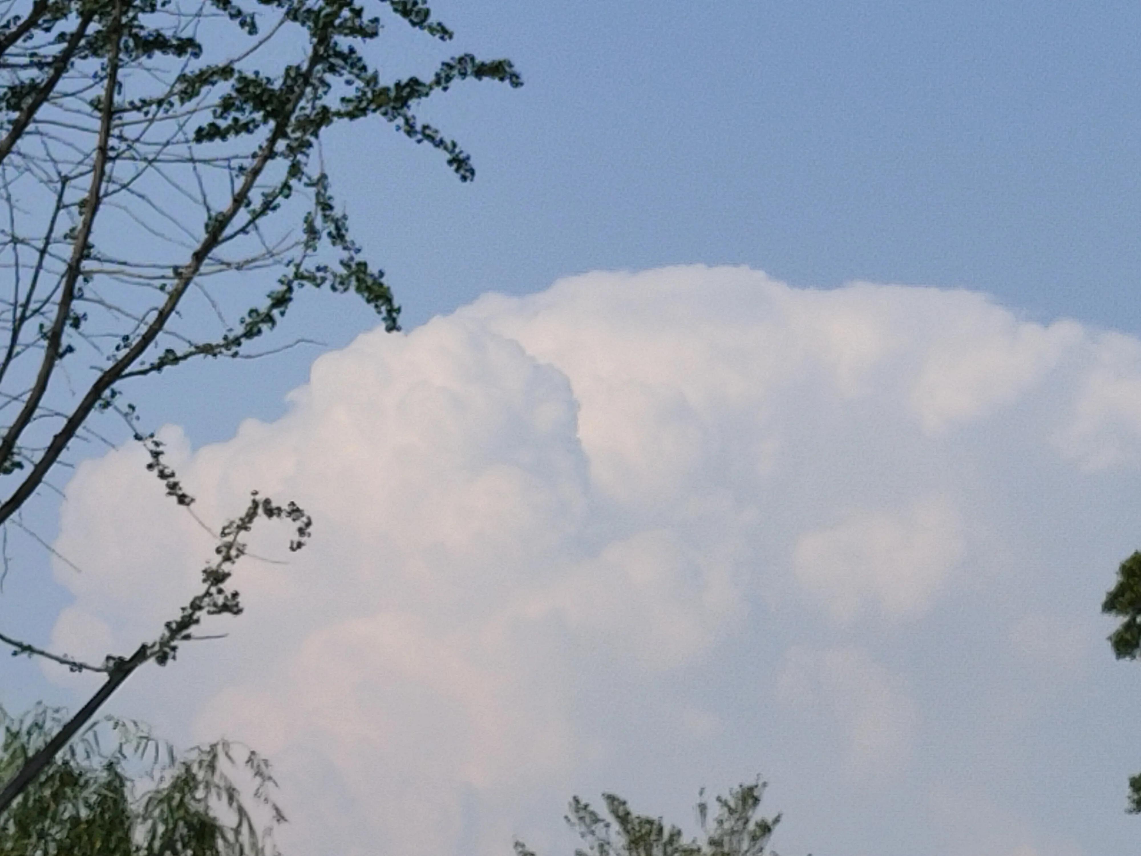 我不想异地恋了,我的异地恋