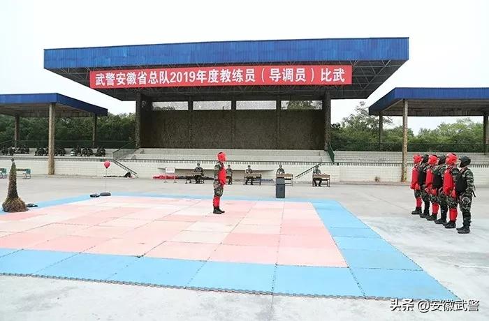 纪实视频,记实记录