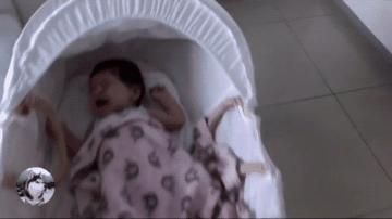 金毛女主人生宝宝,女主人生孩子后宠物的反应