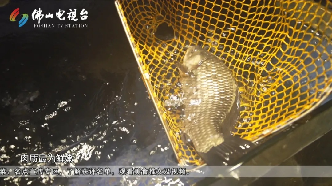 佛山岭南天地美食鱼生,佛山岭南天地有哪些好吃的粤菜