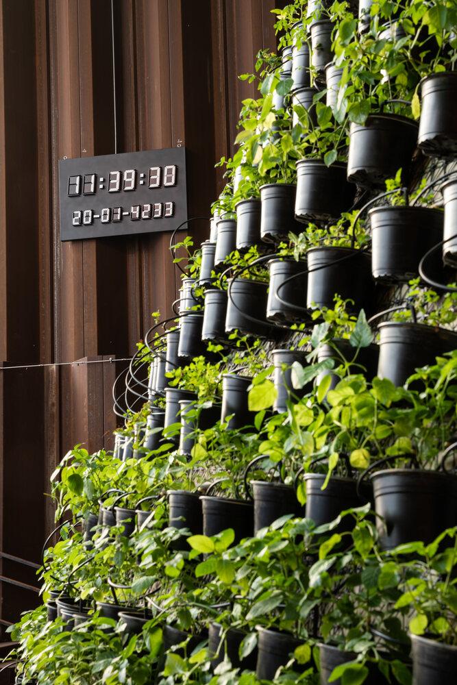 迪拜世博会中国馆正式试运营,迪拜世博会各国展馆建筑抢先看