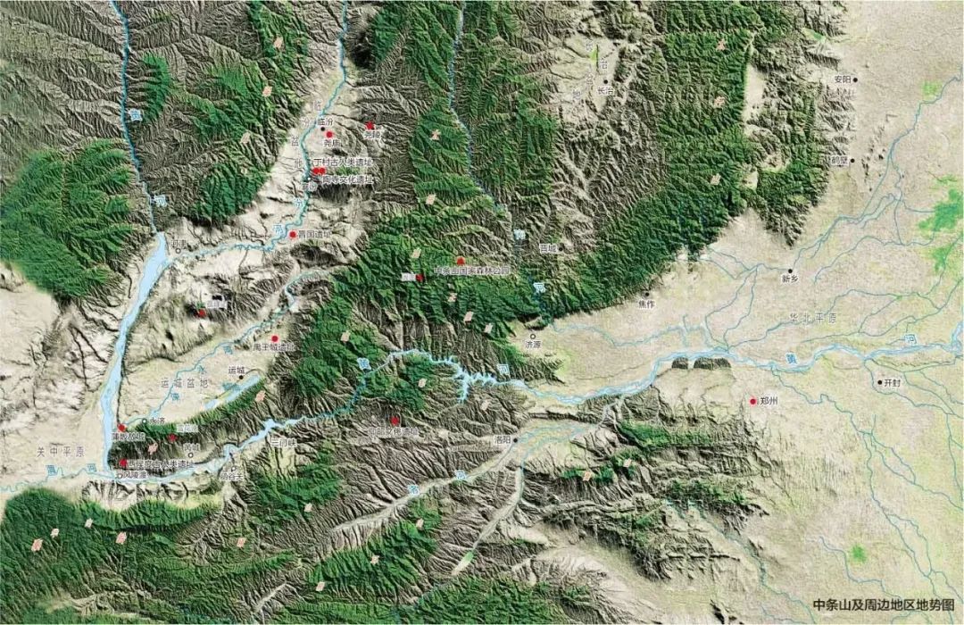 你们听说过死海吗,你听说过海洋中的强大生物吗