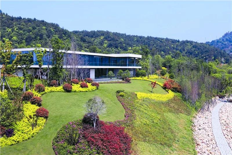 红花疏影横斜，湖瀑水天一色——千岛湖珍珠广场景观工程赏析