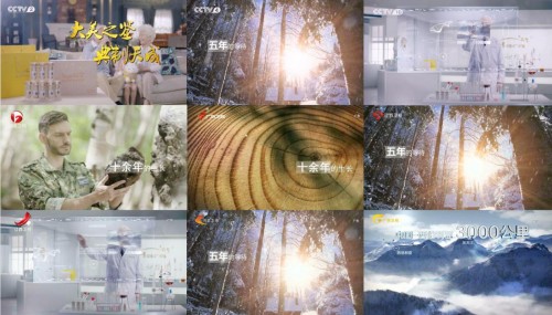 俄罗斯桦树茸加工,俄罗斯桦树茸提纯