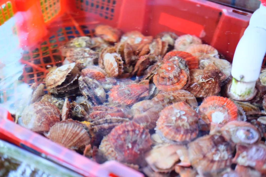 青岛好吃高端的店,青岛有什么很辣很好吃的