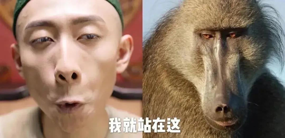 公众号每周热文（20201122）-这个韦爵爷，有点像猴