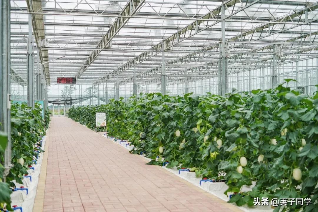 南昌生态谷智慧农场采摘,南昌亲子采摘踏青