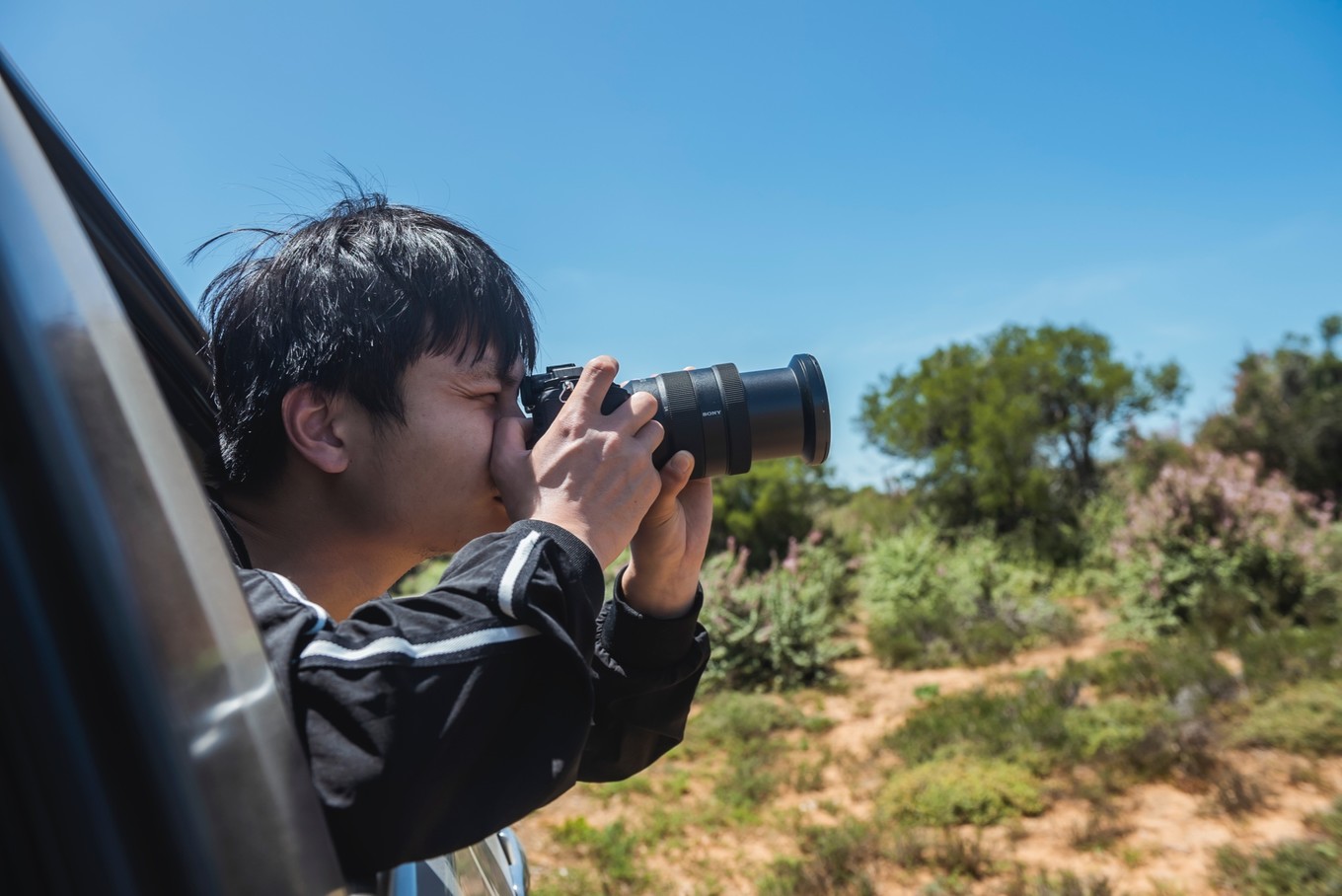 南非自驾游,南非自驾游最新