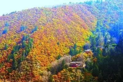 描写甘肃的爆火文章,一篇文章了解甘肃