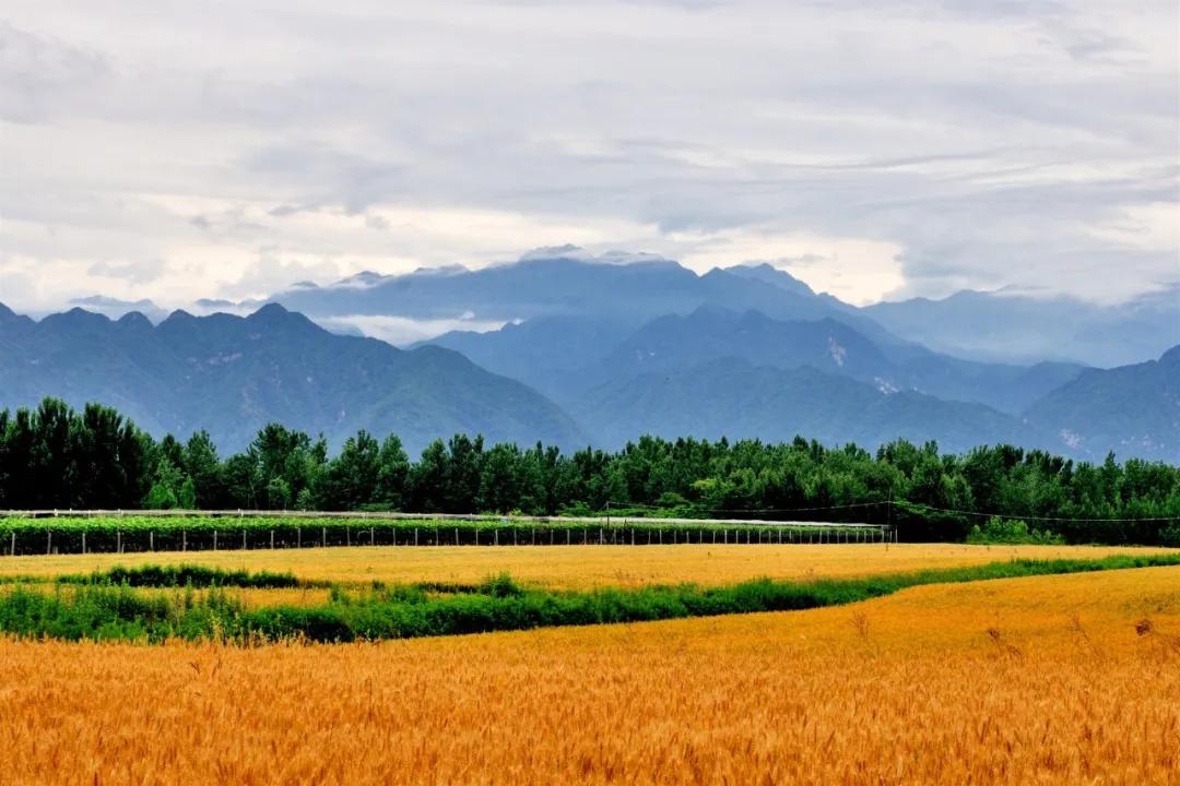 世界上90%的疾病都和情绪有关，不想生病的人一定要看看！