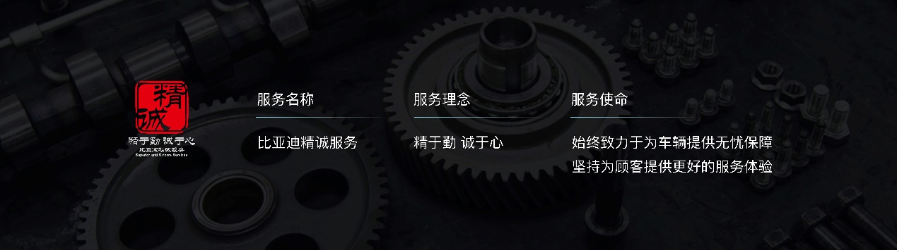 比亚迪新款秦荣耀什么时候上市,秦荣耀版55领先型与120领先型