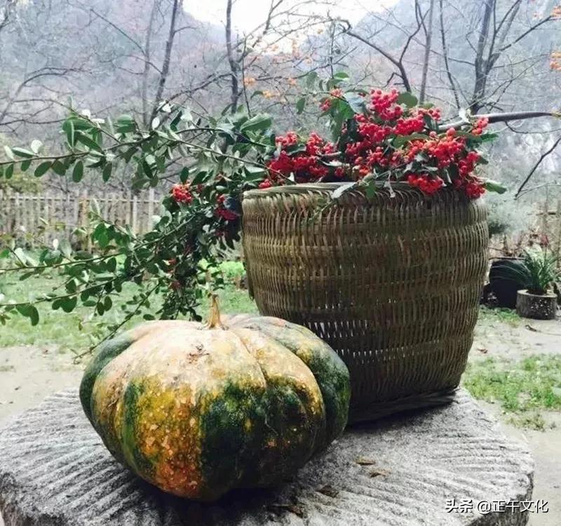 隐居终南山小龙女,一人隐居生活