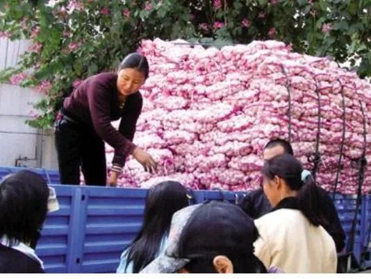 故事：张二嫂卖蒜|解广通