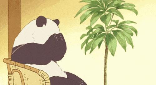 蜂胶果酸焕肤净痘精华液,全家一起用的护肤品