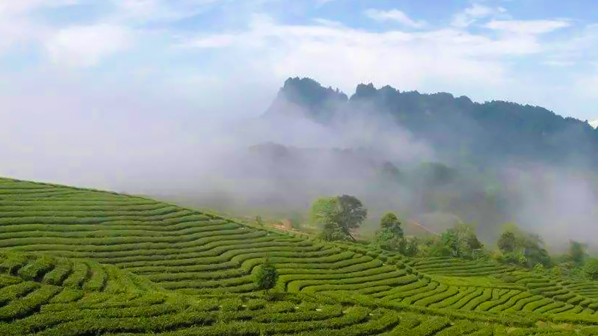 四川旅游踩坑的地方,贵州旅游踩坑