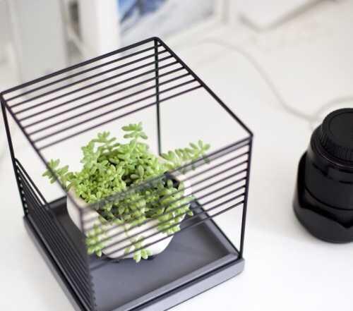 花瓶装饰有哪些,各式各样的装饰花瓶