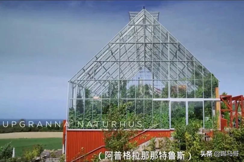 appletv出品的电影,appletv出品