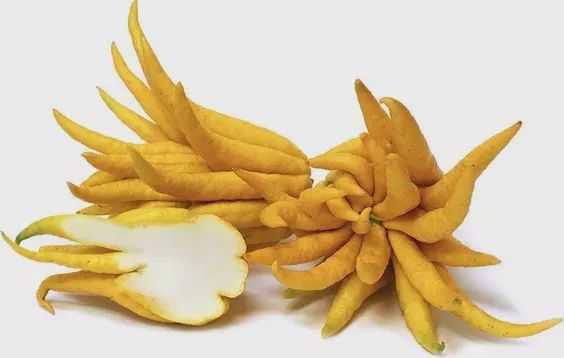 100种罕见水果排名,罕见的30种水果图片视频