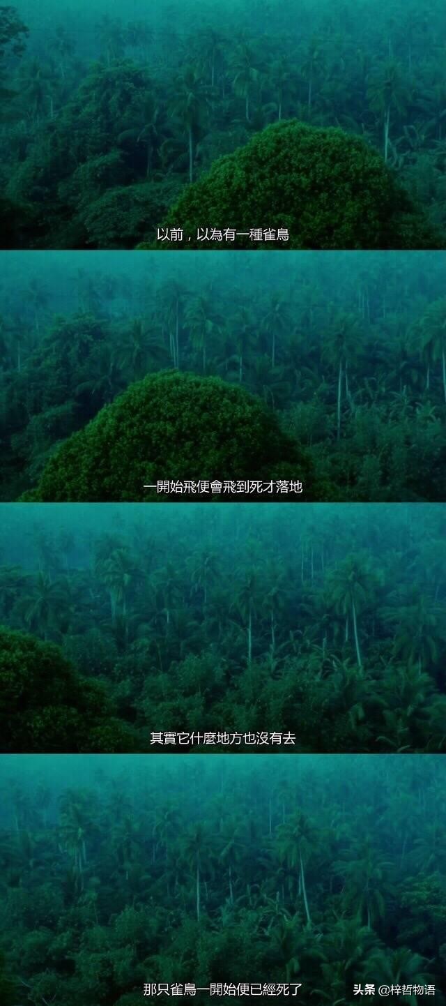 知乎摘录精彩问答56条，读后让人豁然开朗！