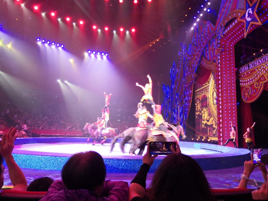 旅游珠海长隆海洋王国,畅游珠海长隆海洋王国