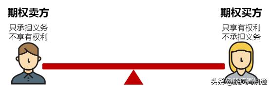 期货和期权的基本知识,期货期权详细解读