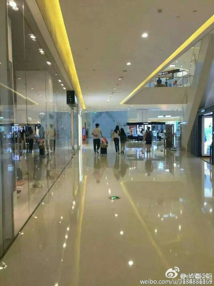 金大川雎晓雯婚后首同框,雎晓雯与金大川举办婚礼事件