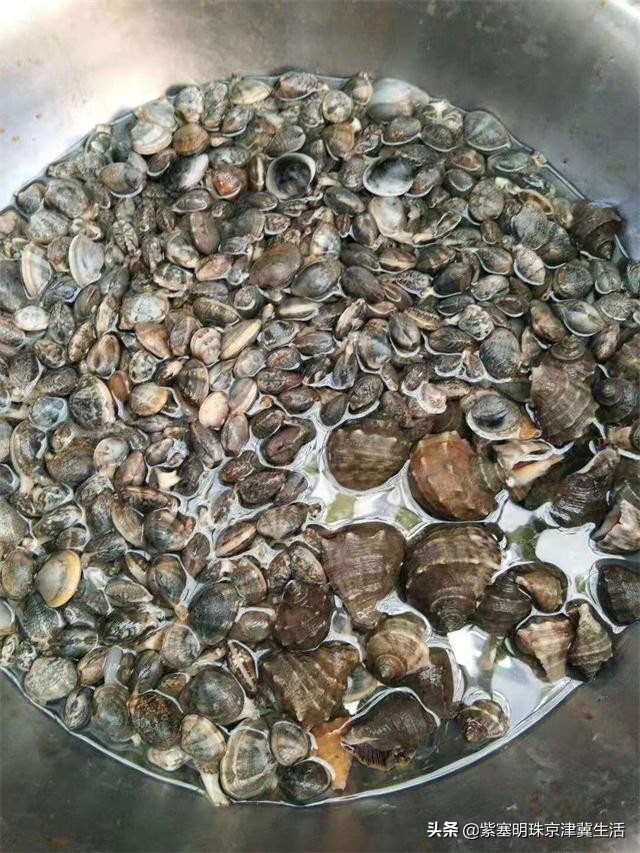 乐亭韩姐农家院价格,天津蓟县乐亭韩姐农家院