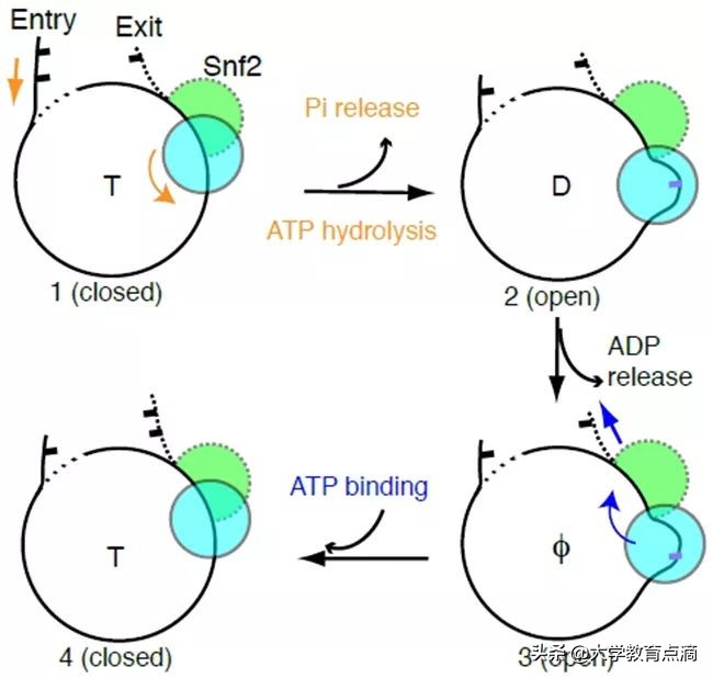 清华大学科技成果转化,清华大学重大贡献科研成果