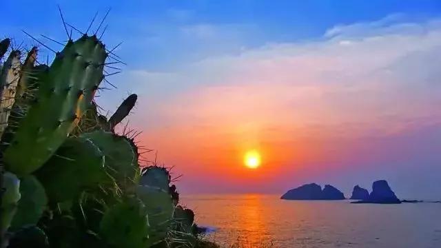 上海附近适合三五天游玩的海岛,离上海最近的绝美海岛