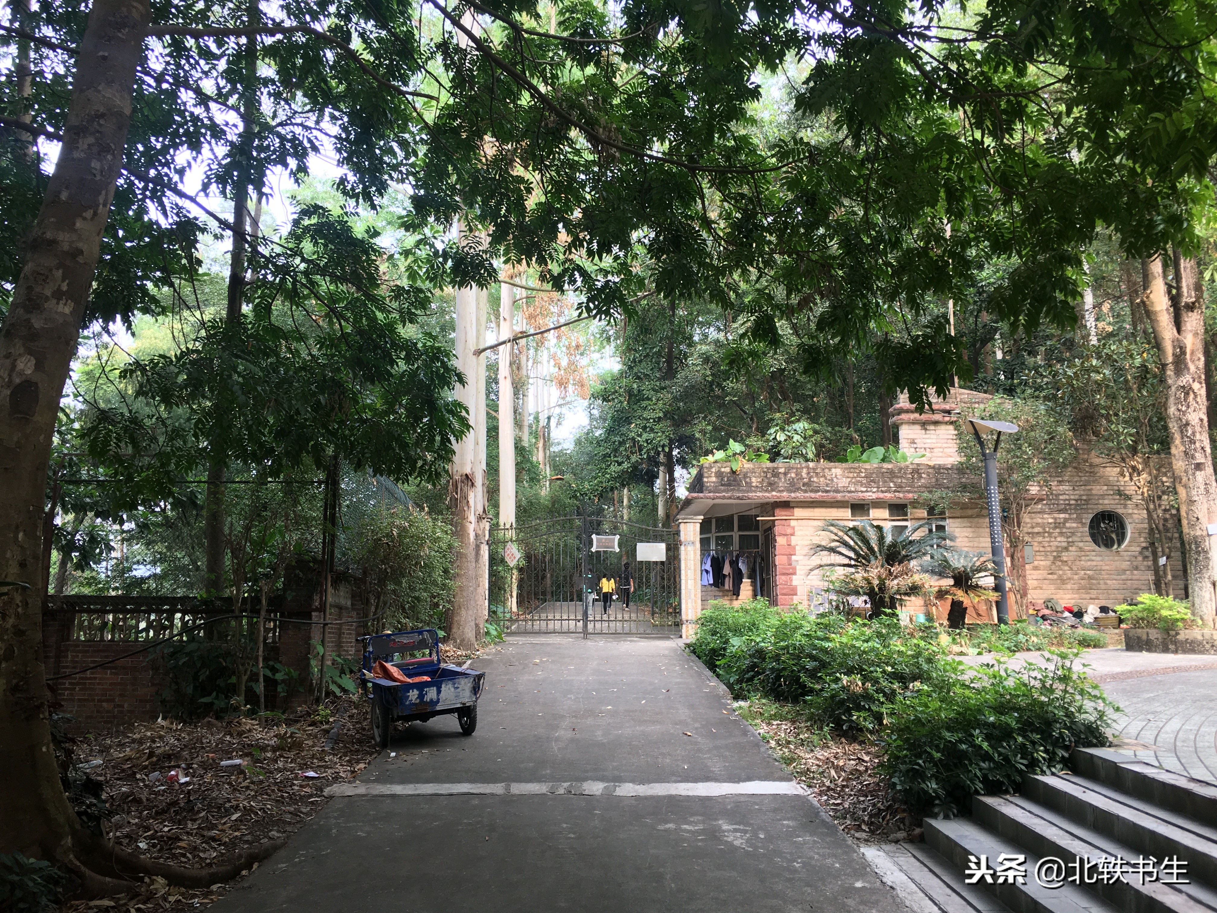 广州值得打卡的免费景点,广州天河必打卡的景点