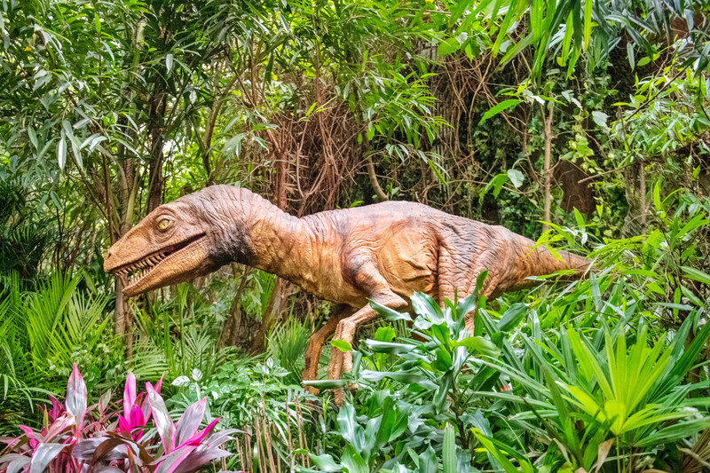离广州长隆最近的海滩景点,长隆海洋世界王国必打卡景点